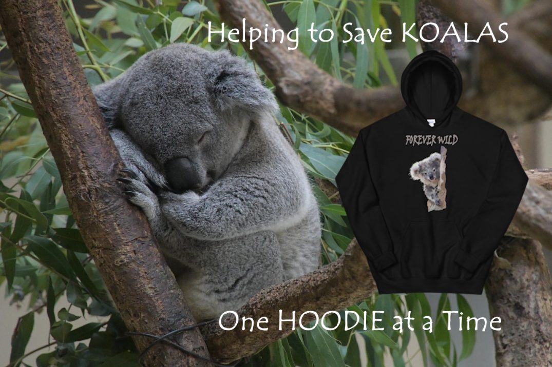 Koala Unisex Hoodies
