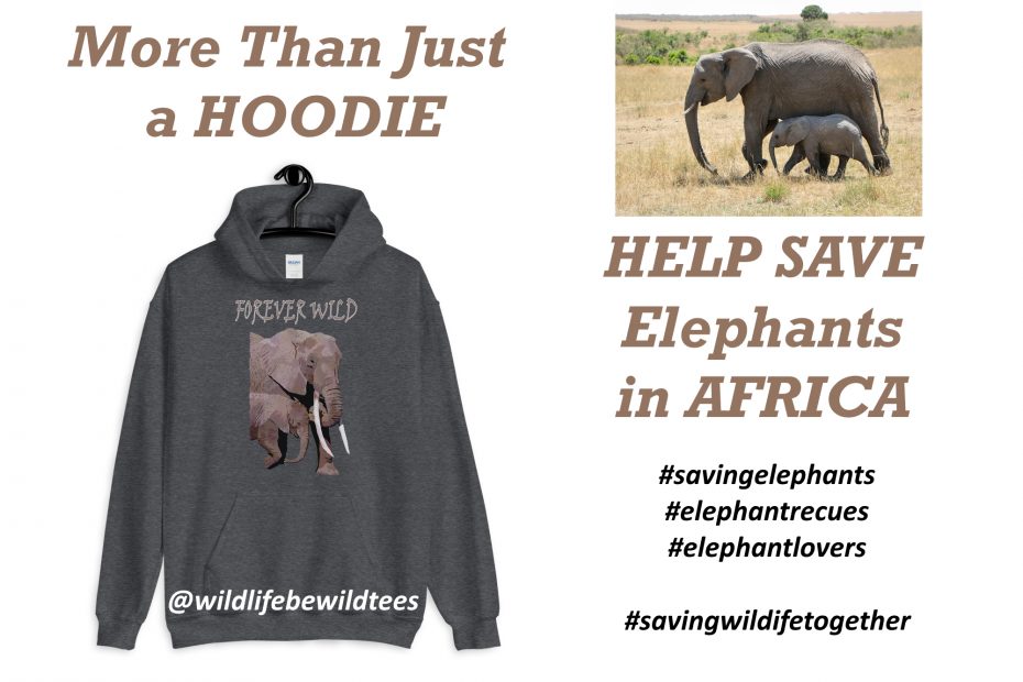 More Than Just A Hoodie Elephant