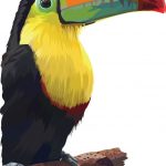 Rainbow Billed Toucan Graphic Design