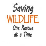 Saving Wildlife One Rescue at a Time Graphic Design