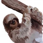 Three Toed Sloth Graphic Design