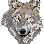 Wolf Graphic